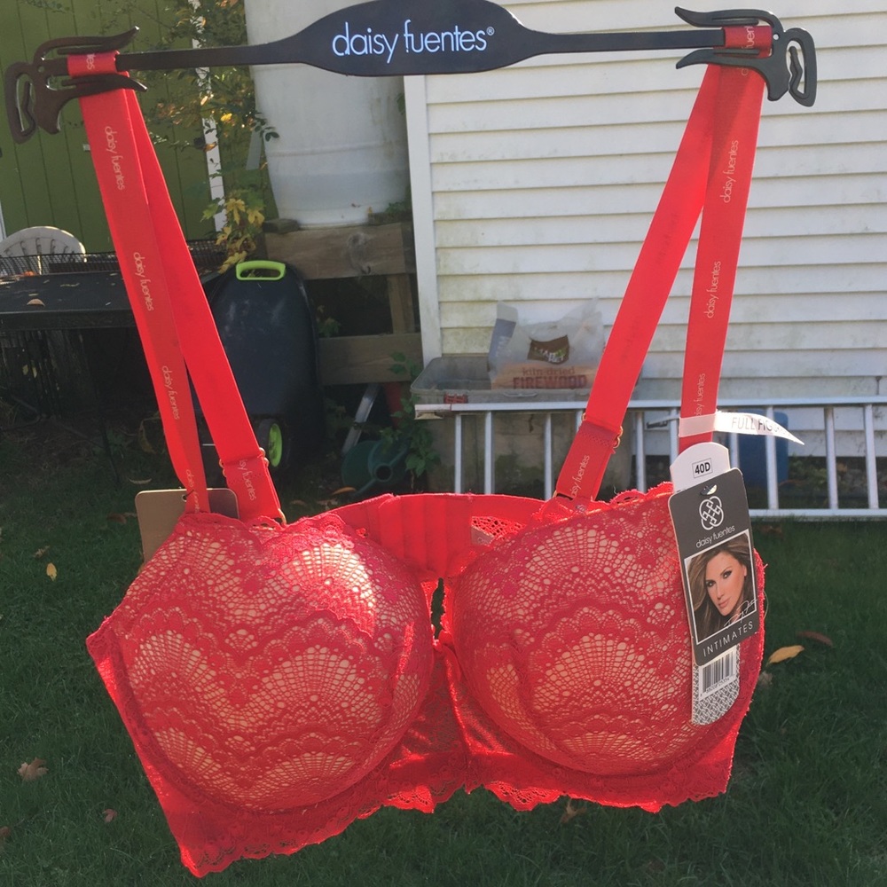 Red lace bra